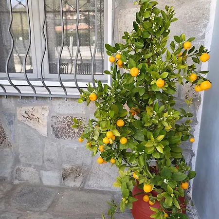 Apartment Bella Gaia