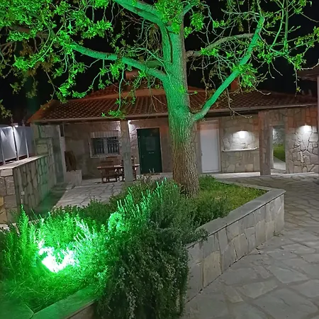 Bella Gaia