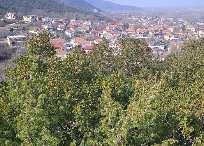 Bella Gaia * Eleftheroupoli