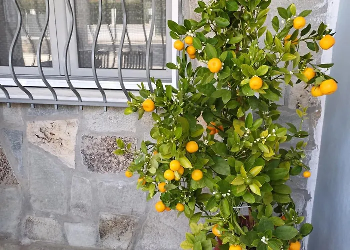 Apartamento Bella Gaia